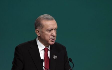 Turkey providing documents for genocide hearings against Israel, says Erdogan