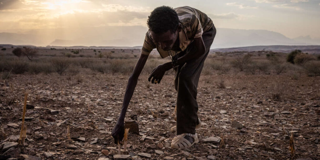 Ethiopia’s hidden famine needs national and global attention